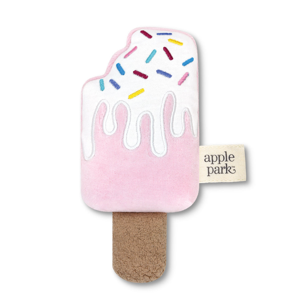 Popsicle Rattle